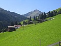 Almen im Tuxertal.jpg Almen im Tuxertal.jpg